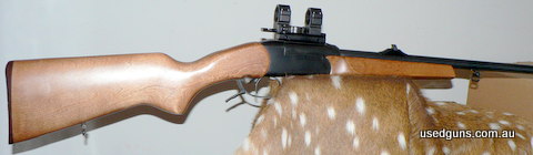 253743